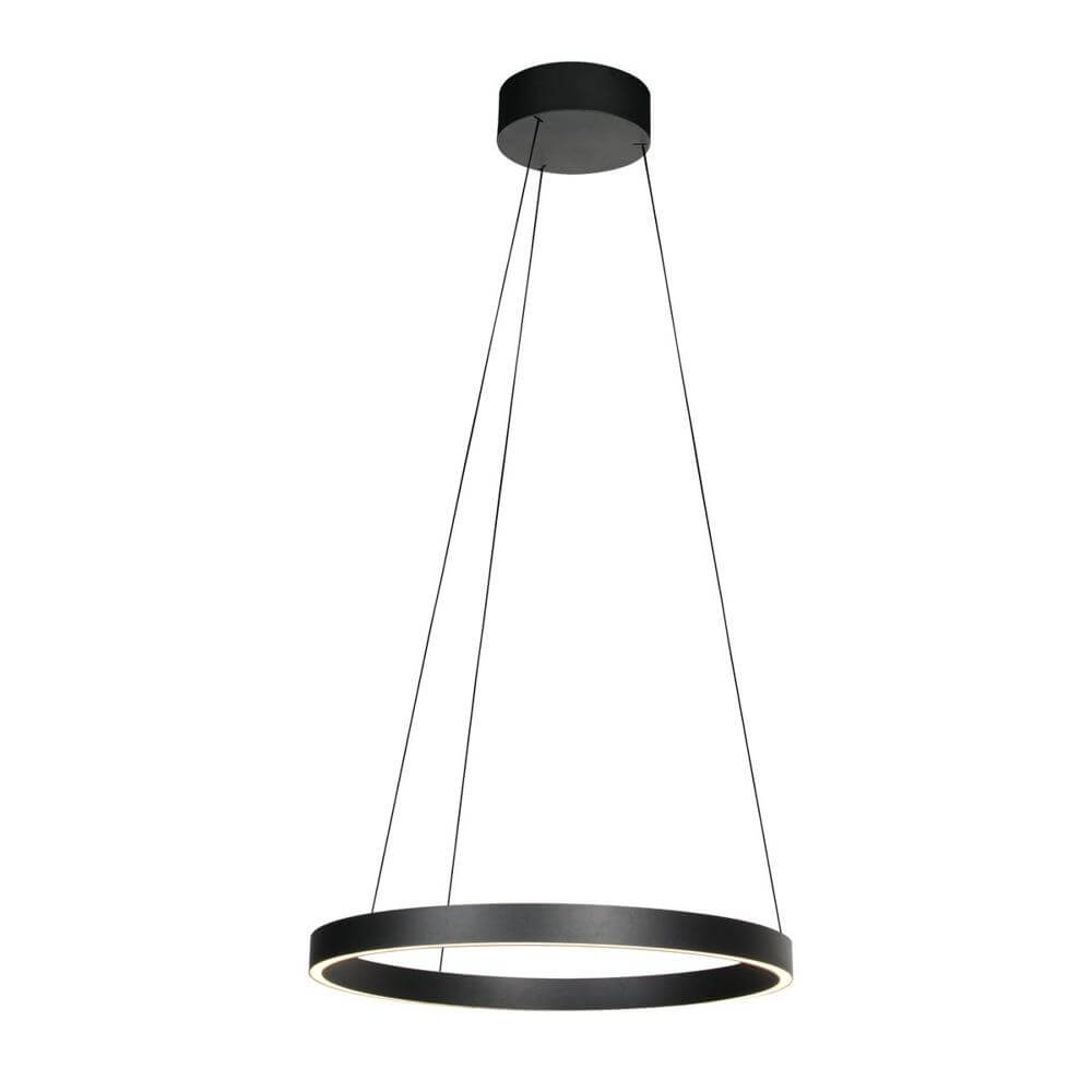 Steinhauer Mykty - 4203ZW