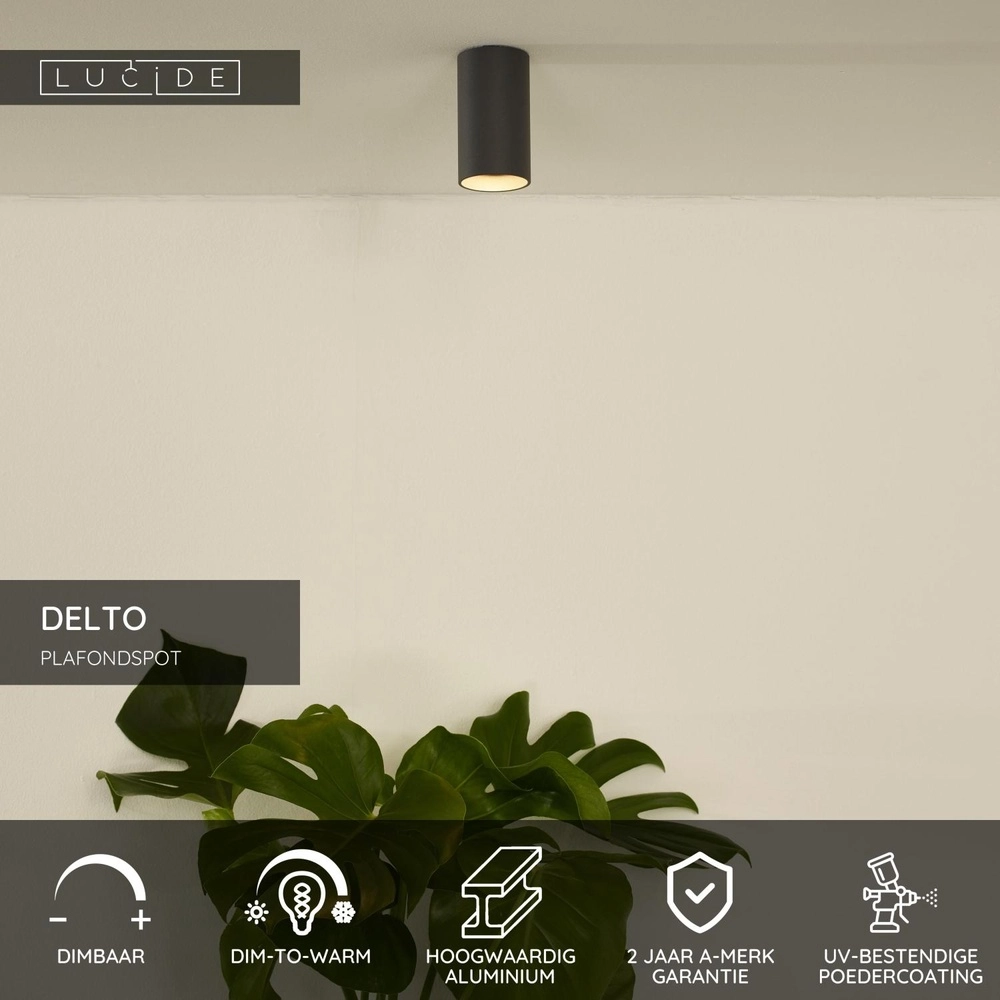 Strakke opbouwspot Delto grijs Ø 5,5cm incl lichtbron Lucide 5411212092373