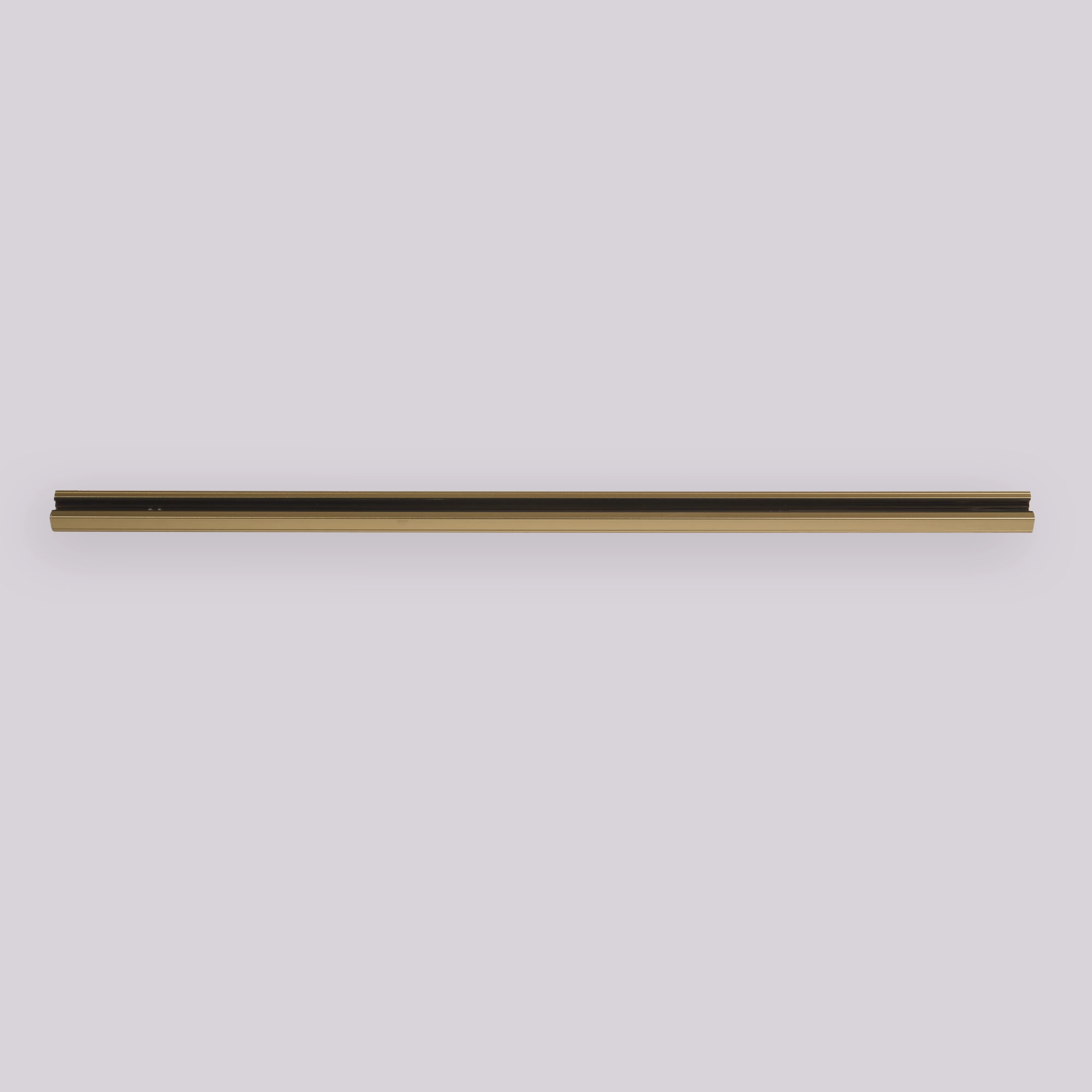 1 meter rail TraQ goud