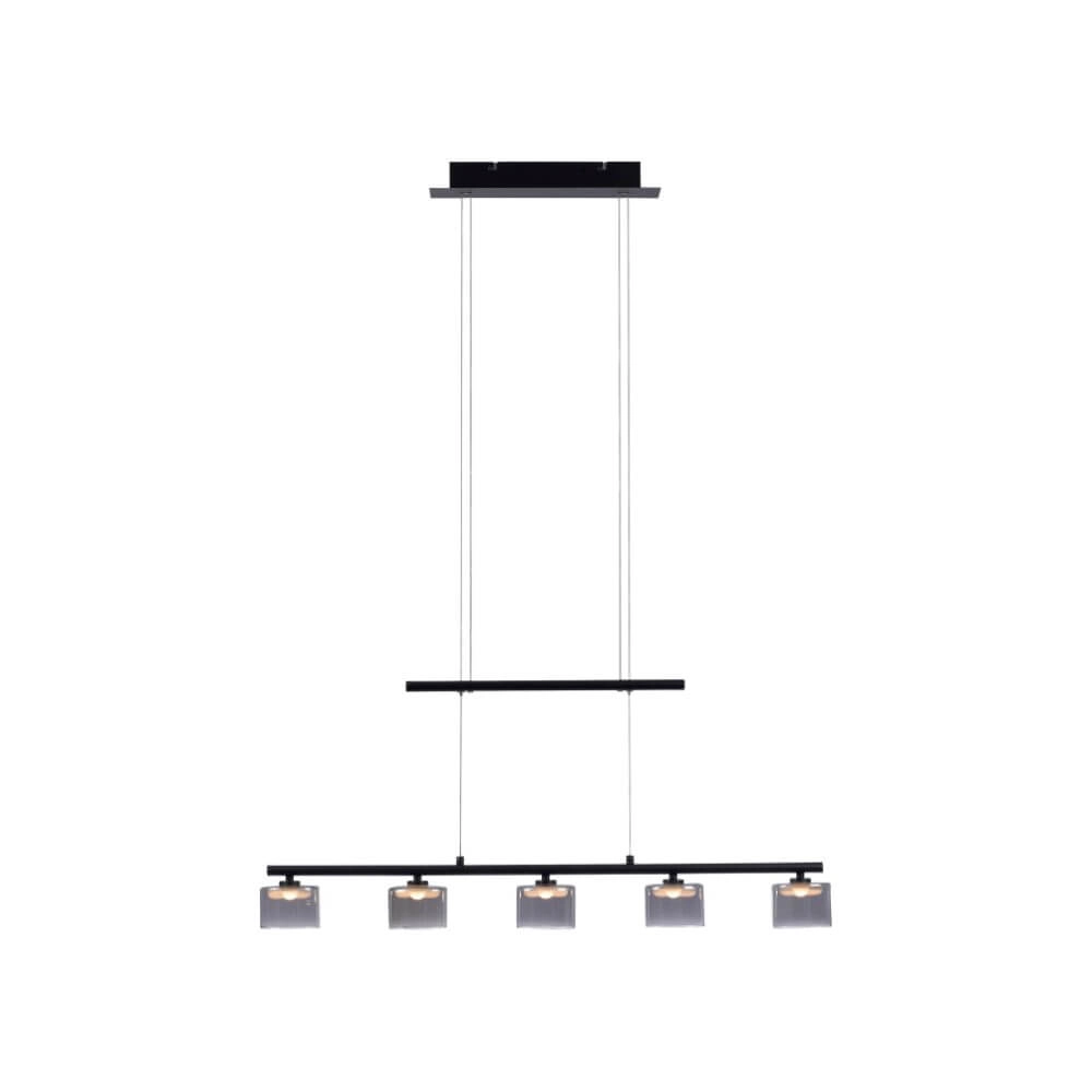 5-lichts hanglamp Hydra zwart Paul Neuhaus 4012248364970