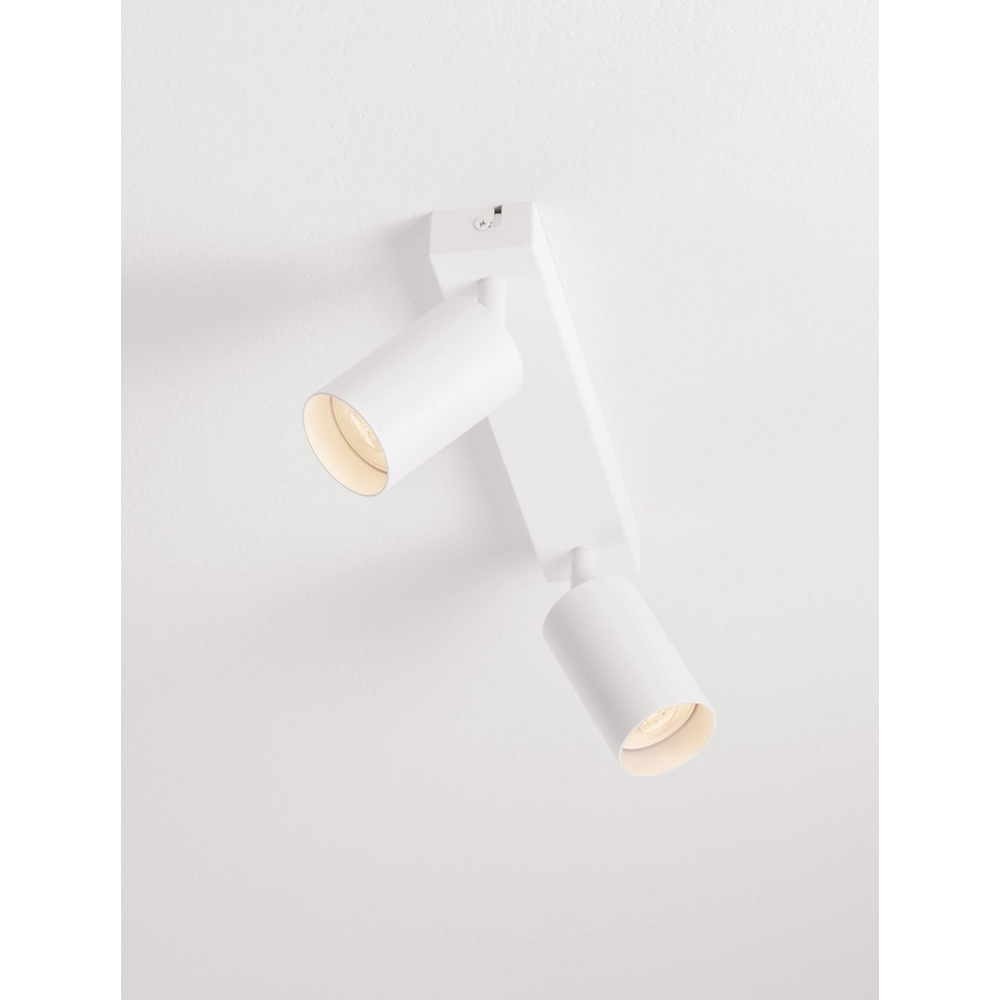 Plafondspot Reig 2-lichtst wit