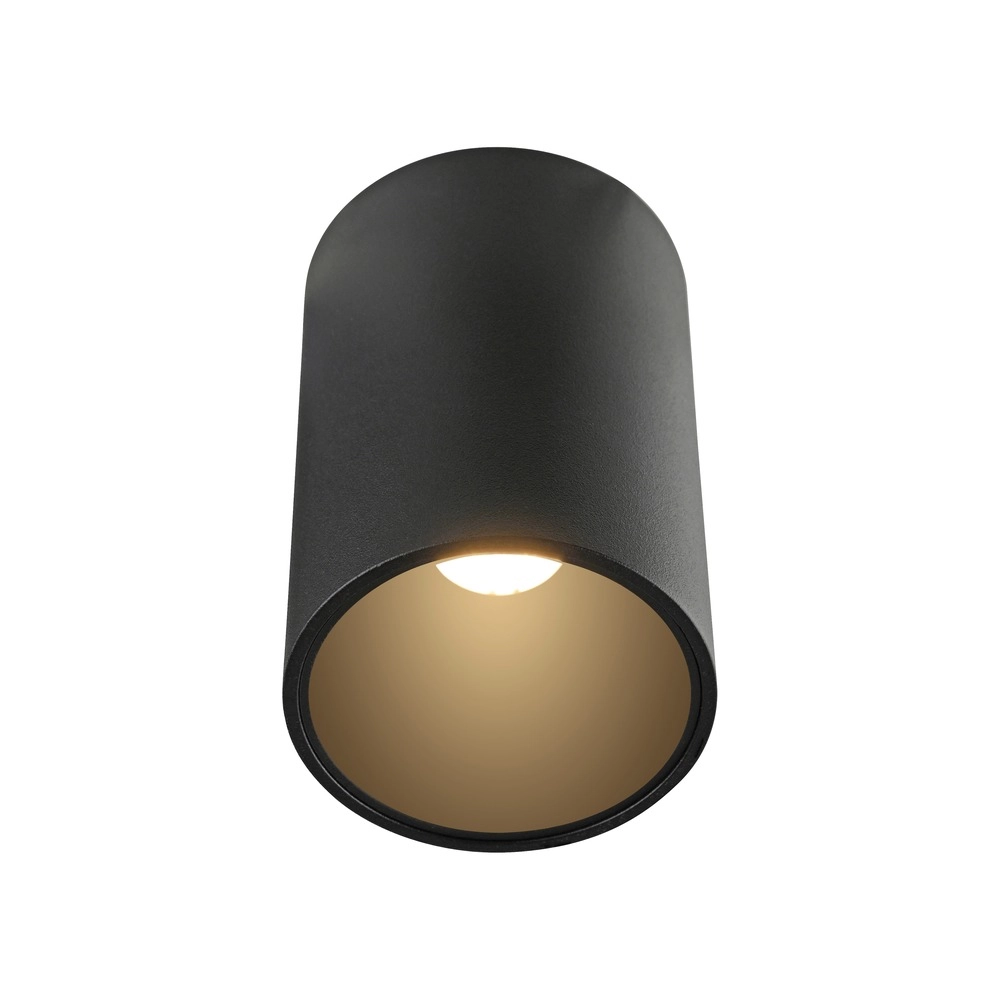 Plafond opbouwspot Pure Point Ø 6cm - black pearl Paul Neuhaus 4012248395677