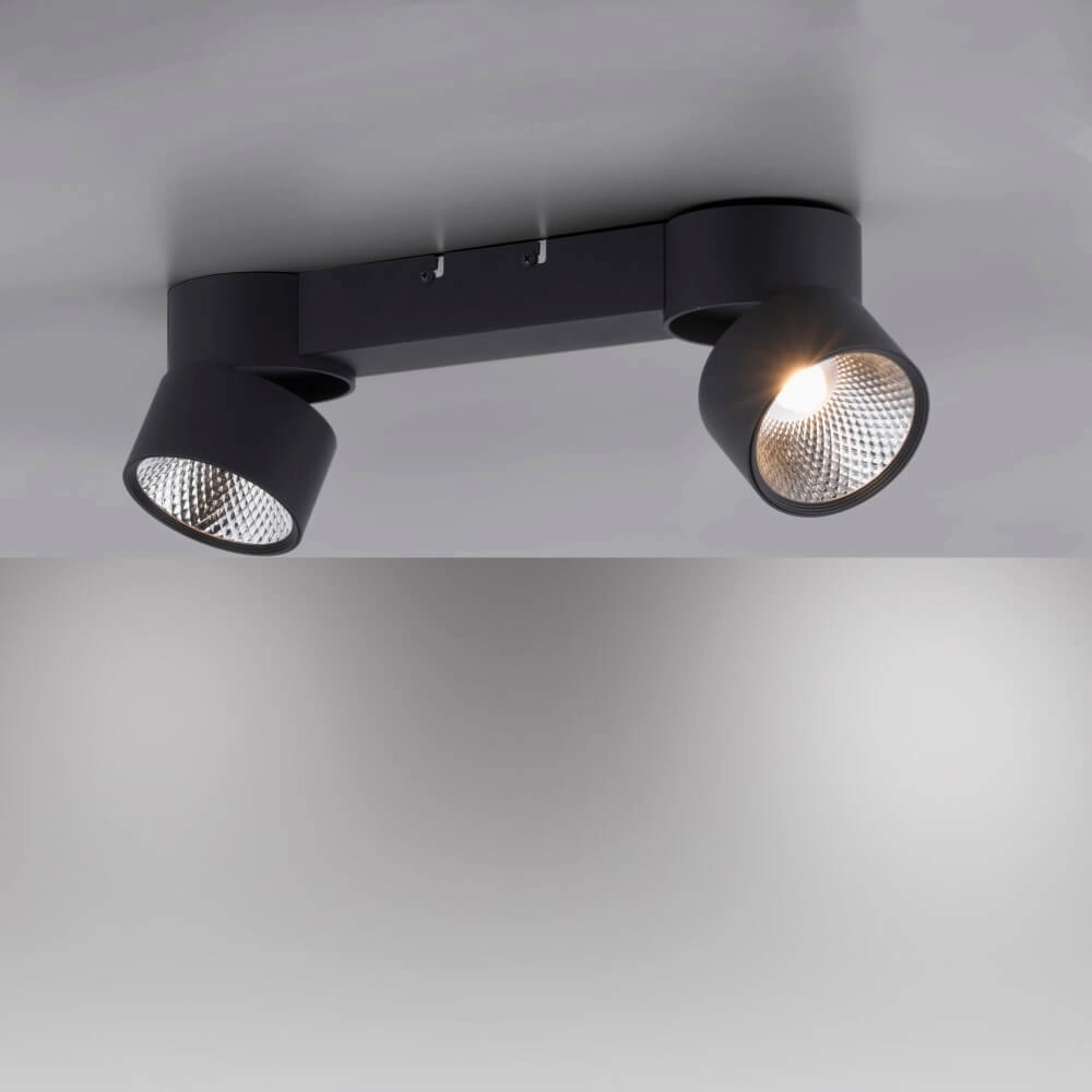 Plafondlamp Pure Nola 2-lichts zwart Paul Neuhaus 4012248372005