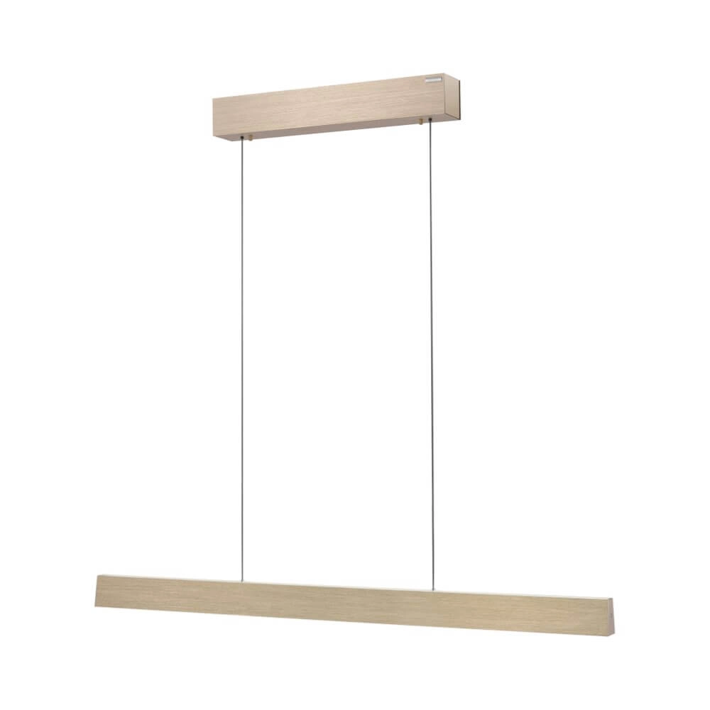 Design hanglamp Pure E-Motion messing