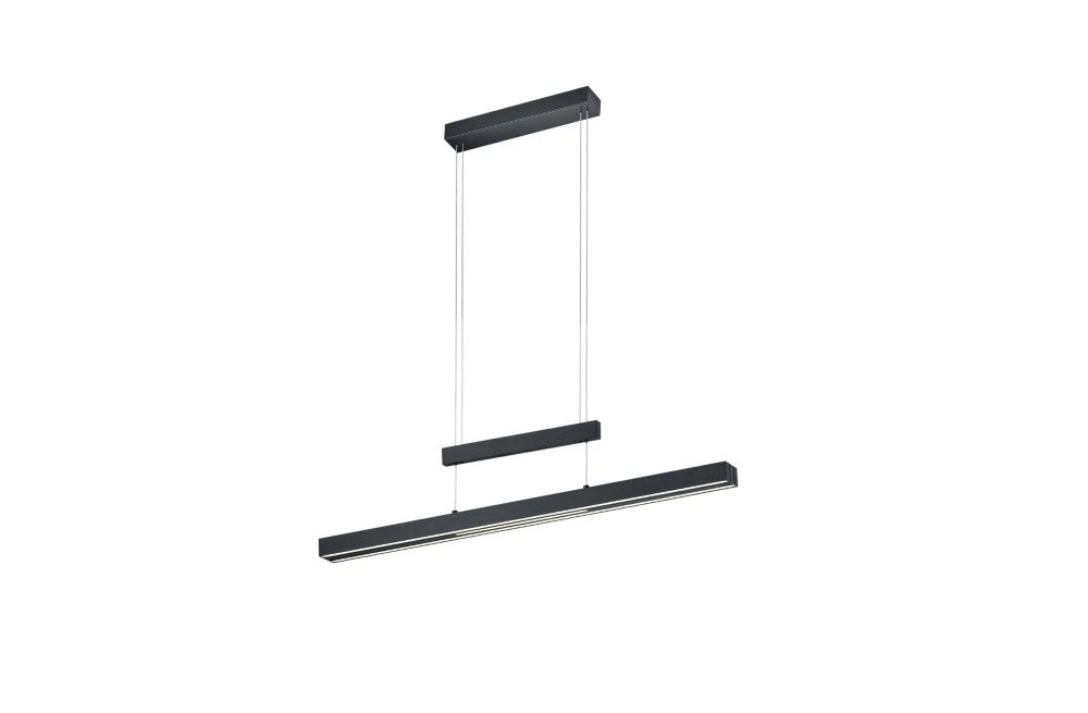 Verstelbare hanglamp Trajan mat zwart Trio 4017807472233