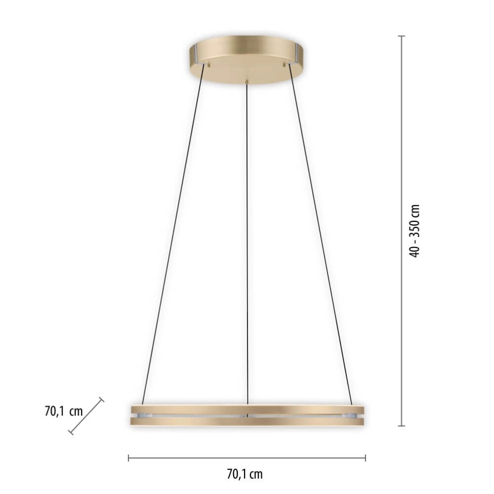 Strakke hanglamp Pure E-Loop messing Ø 70cm Paul Neuhaus 4012248372296