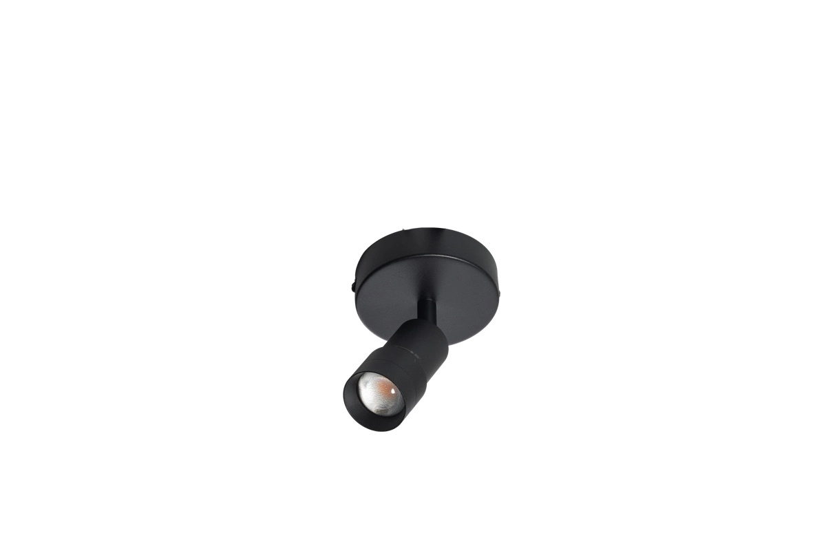 Opbouw spot 1x led Liam zwart - richtbaar