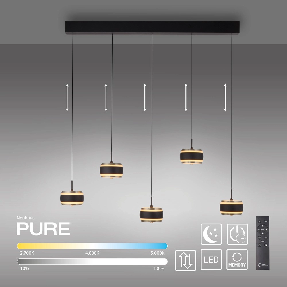 5L eettafel hanglamp Pure Falling Rings black pearl Paul Neuhaus 4012248396575