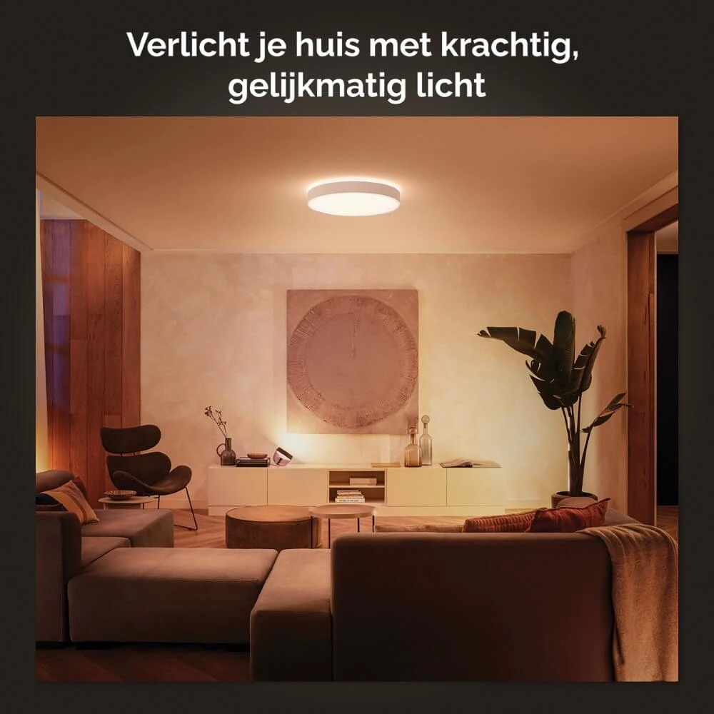 Plafondlamp Hue Enrave XL - White Ambiance Ø 55,1cm wit Philips 8718696176474