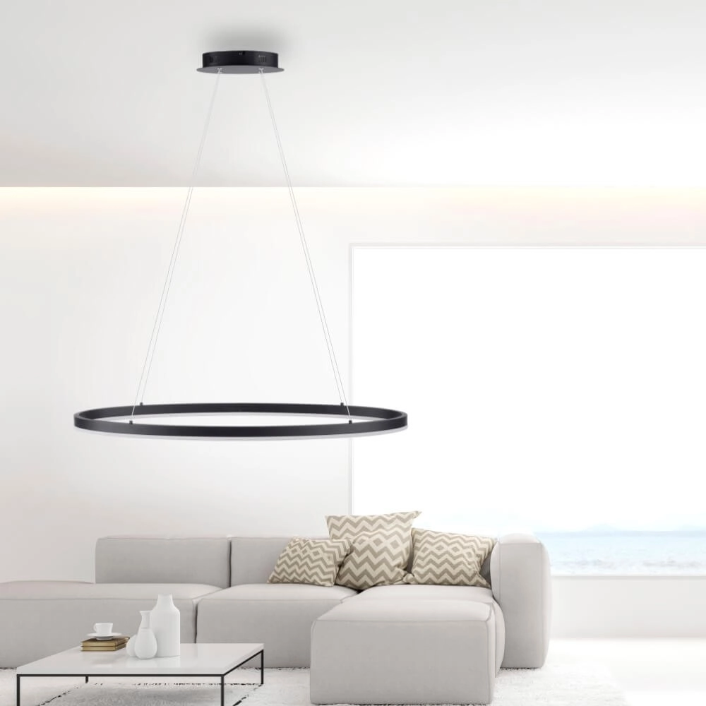 Antraciete hanglamp Titus Ø 80cm Paul Neuhaus 4012248375211