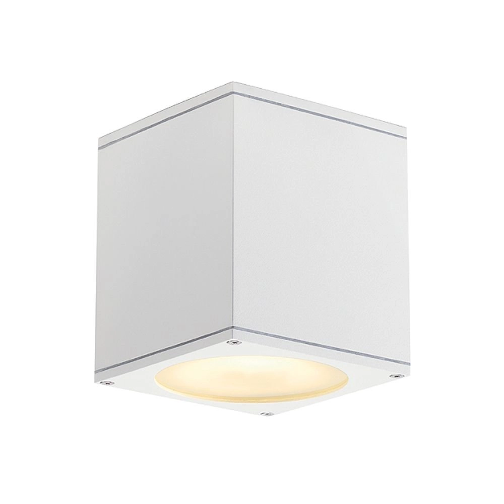 Veranda spot Big Theo Ceiling Out GU10 15cm wit