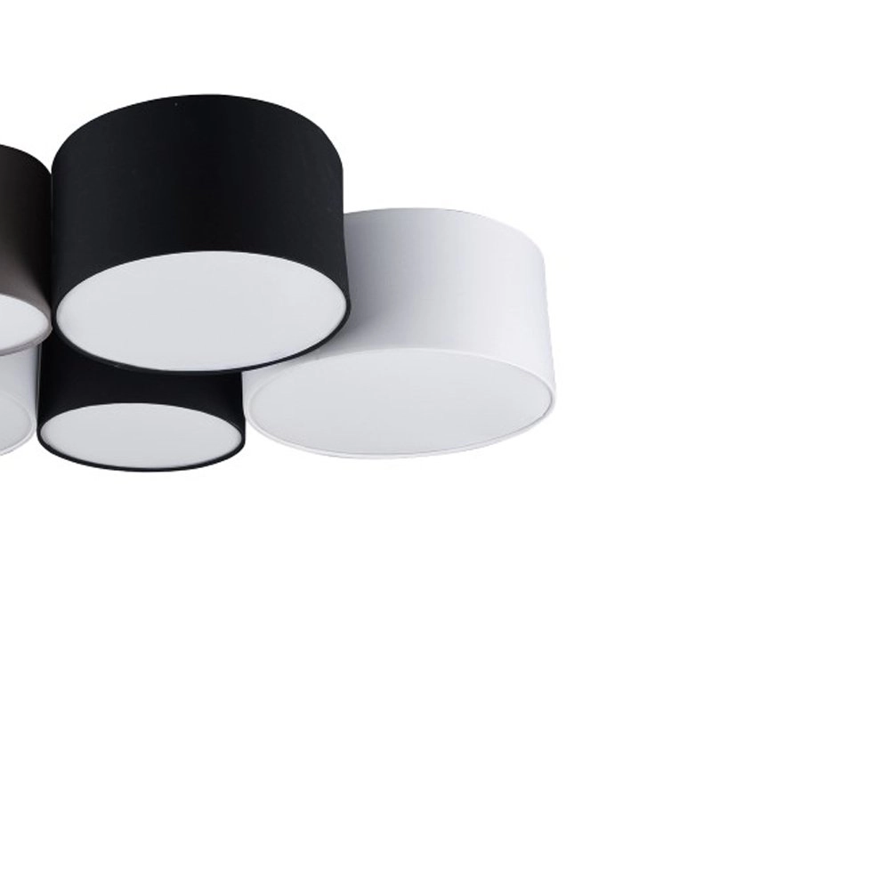 Plafondlamp Hotel multicolor Trio 4017807399547