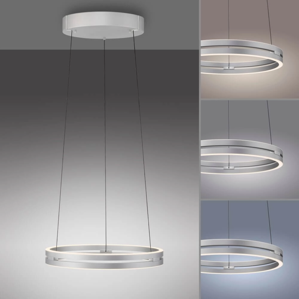 Strakke hanglamp Pure E-Loop aluminium Paul Neuhaus 4012248372272