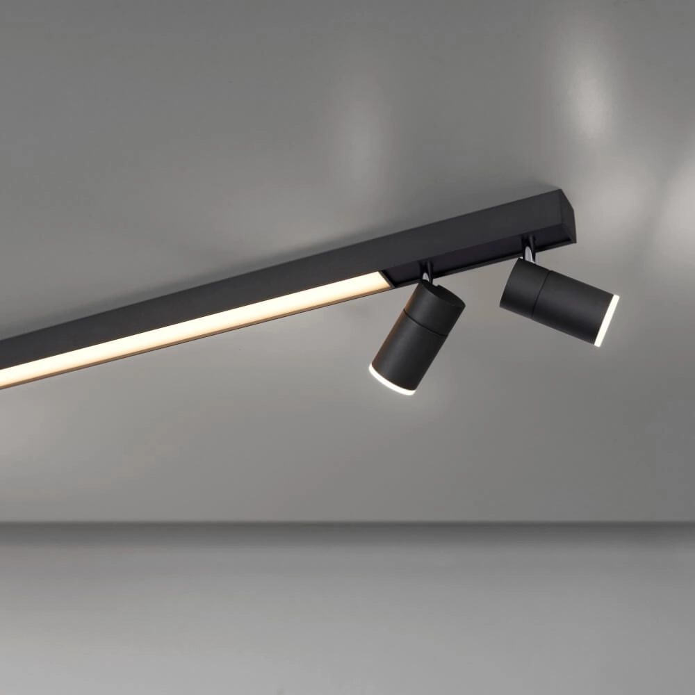 Strakke plafondlamp Pure Lines Spot antraciet Paul Neuhaus 4012248366349