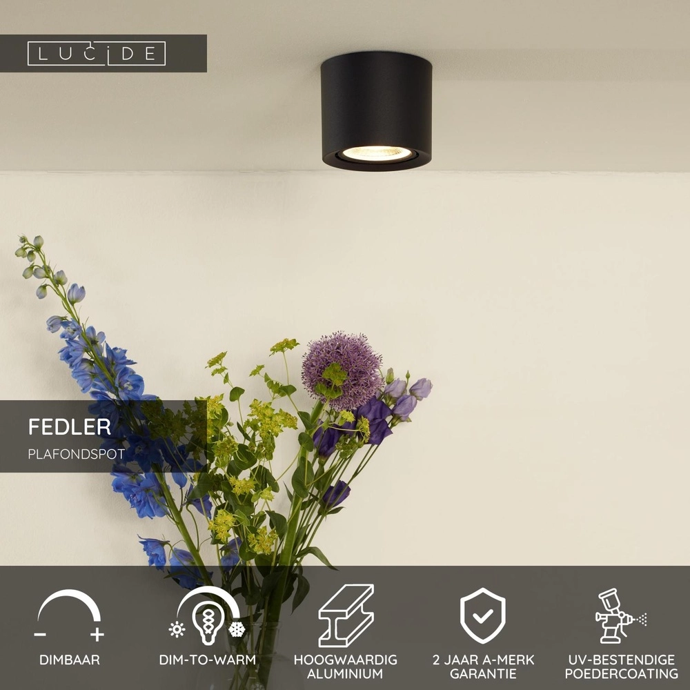 Plafondspot Ø 12cm Fedler GU10 ES111 zwart Lucide 5411212092120