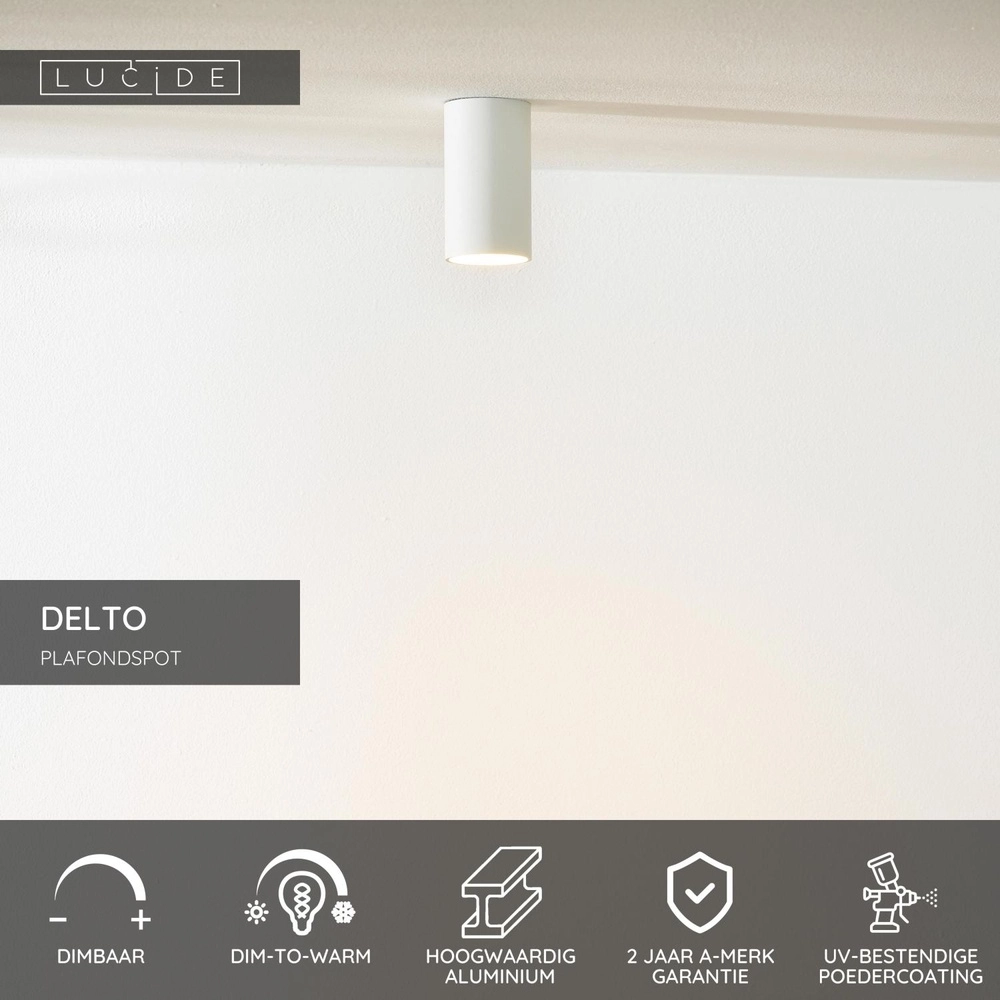 Strakke opbouwspot Delto wit Ø 5,5cm incl lichtbron Lucide 5411212092366