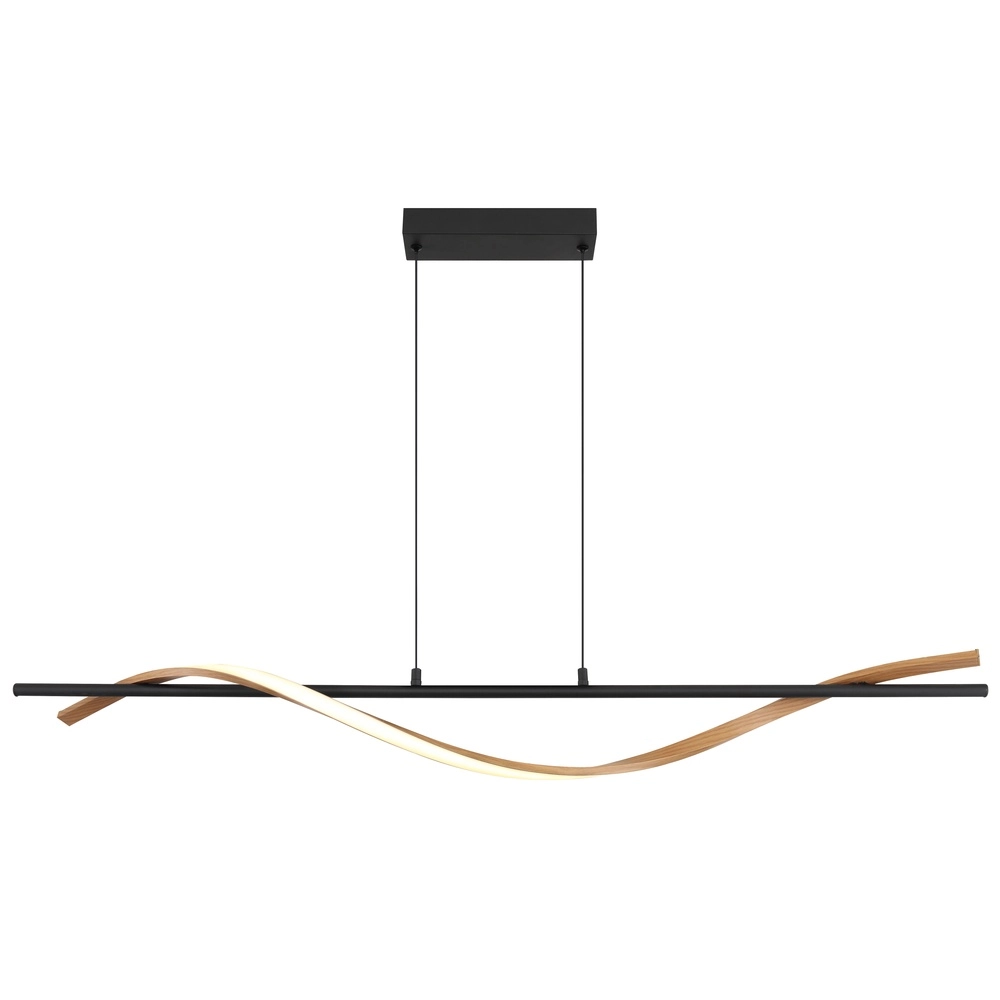 Design hanglamp Watkins zwart Globo 9007371533749