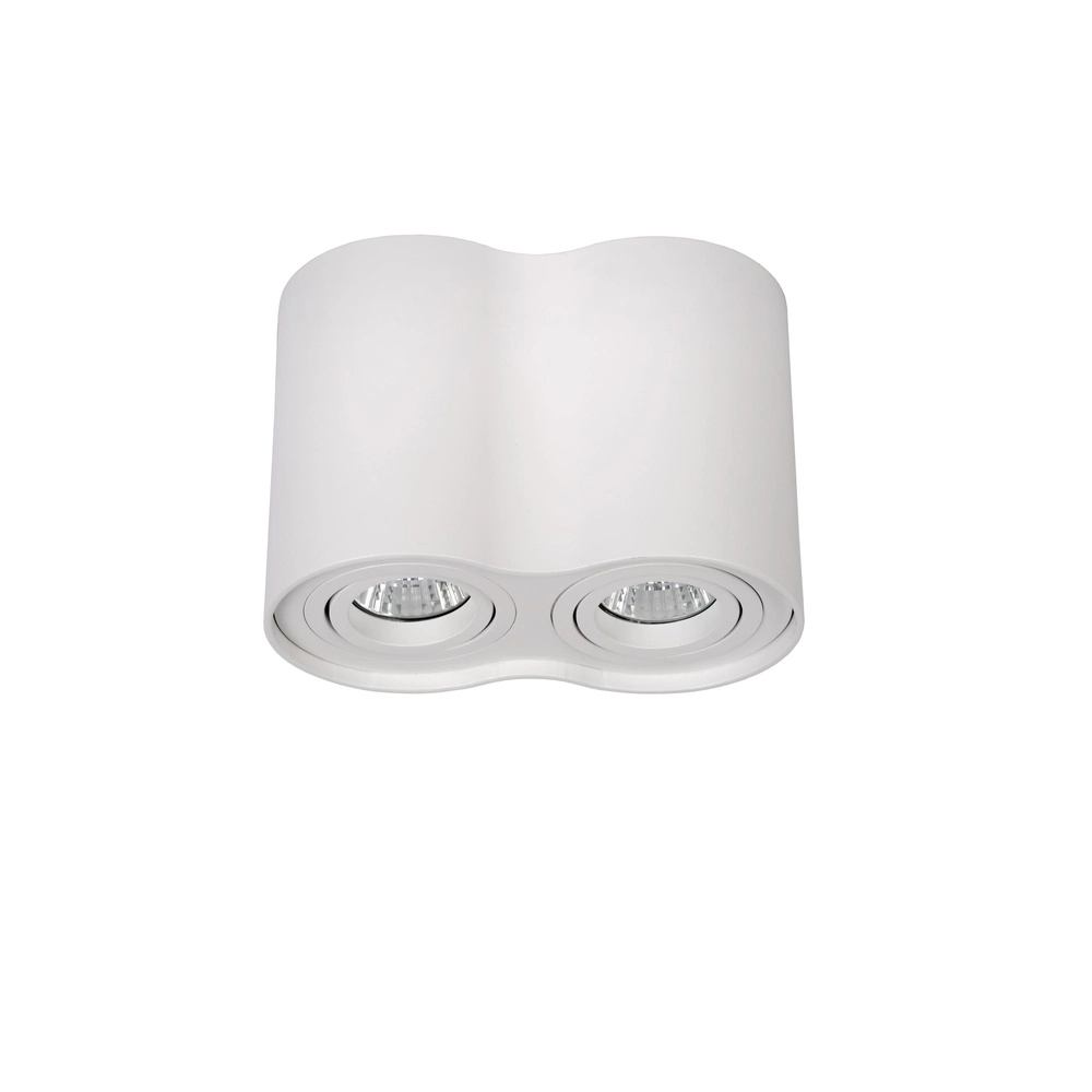 Opbouw plafondspot Tube 2-lichts wit