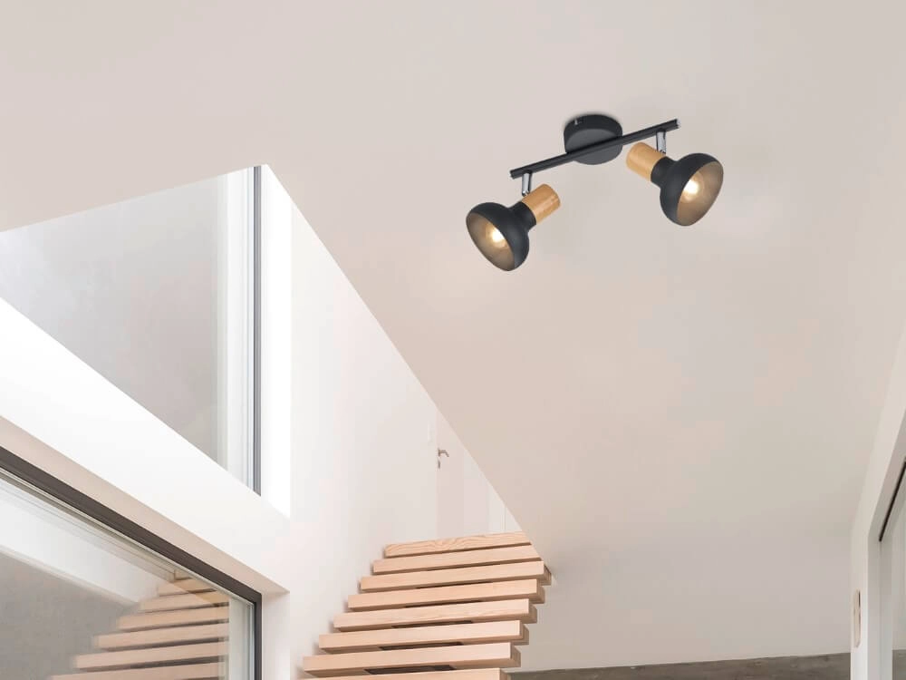 Plafondlamp Latika 2-lichts zwart Trio 4017807576986