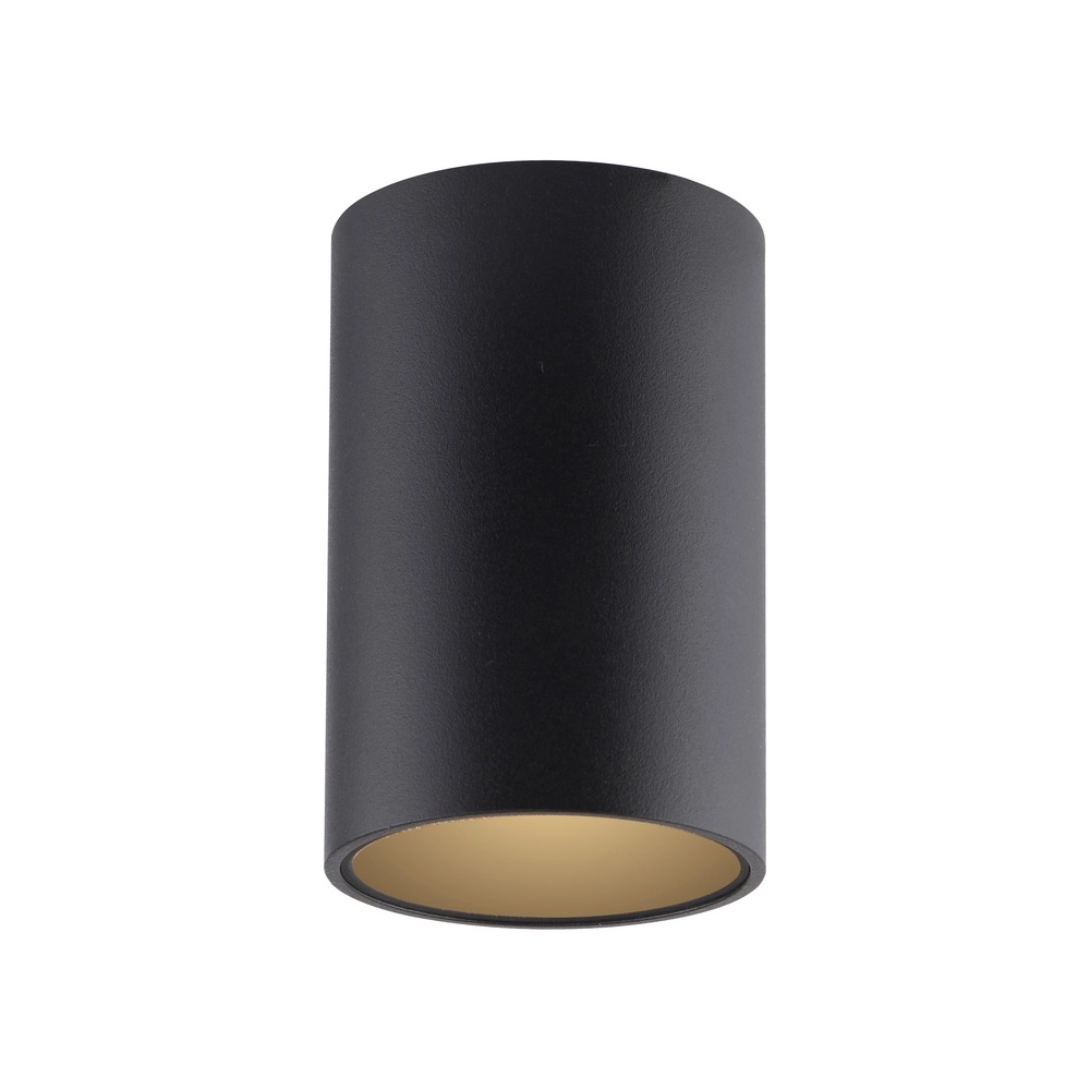 Plafond opbouwspot Pure Point Ø 6cm - black pearl Paul Neuhaus 4012248395677