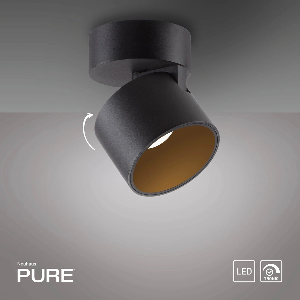 Strakke opbouwspot Pure Cup black pearl Paul Neuhaus 4012248395585