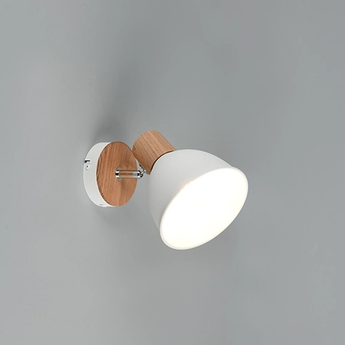 Plafondlamp Delume enkel wit Trio 4017807672213