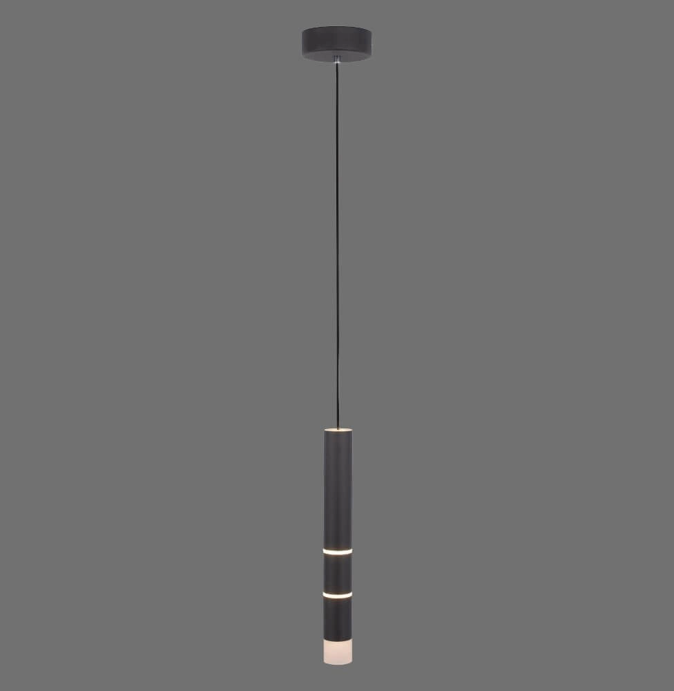 Zwarte hanglamp Pure Vega 3000K Paul Neuhaus 4012248357514
