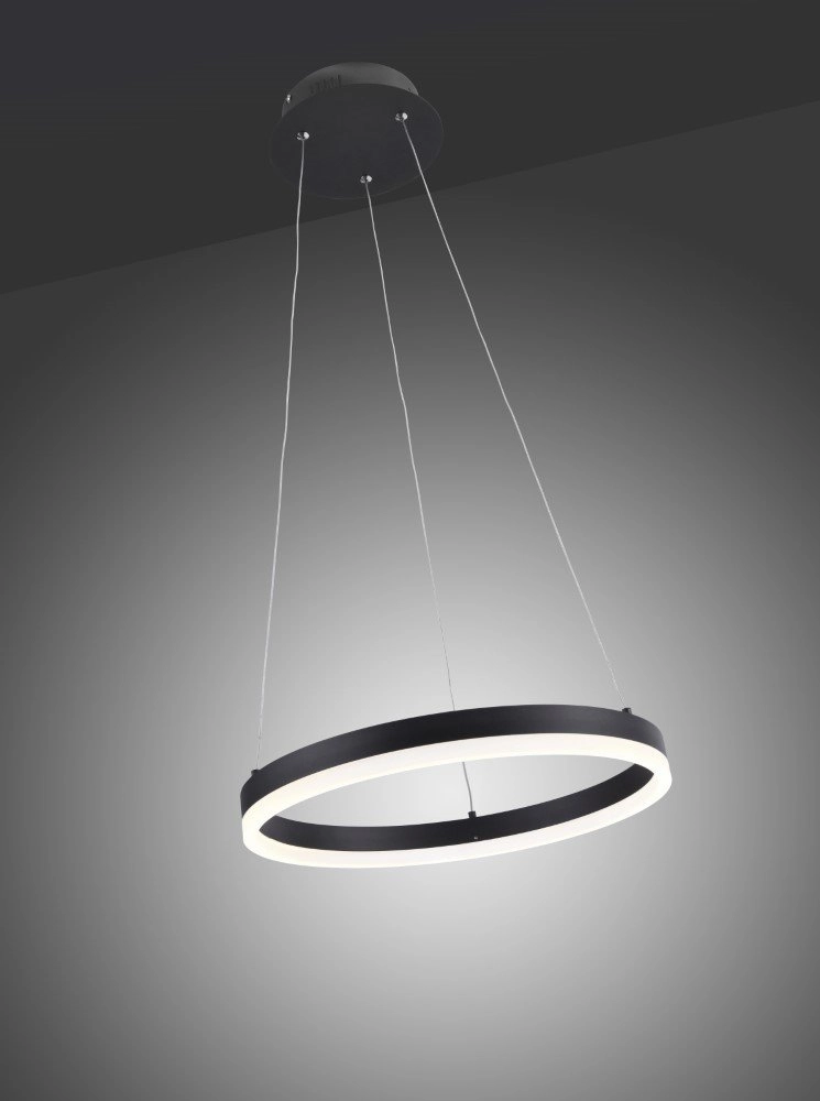 Zwarte hanglamp Titus Ø 40cm Paul Neuhaus 4012248305140