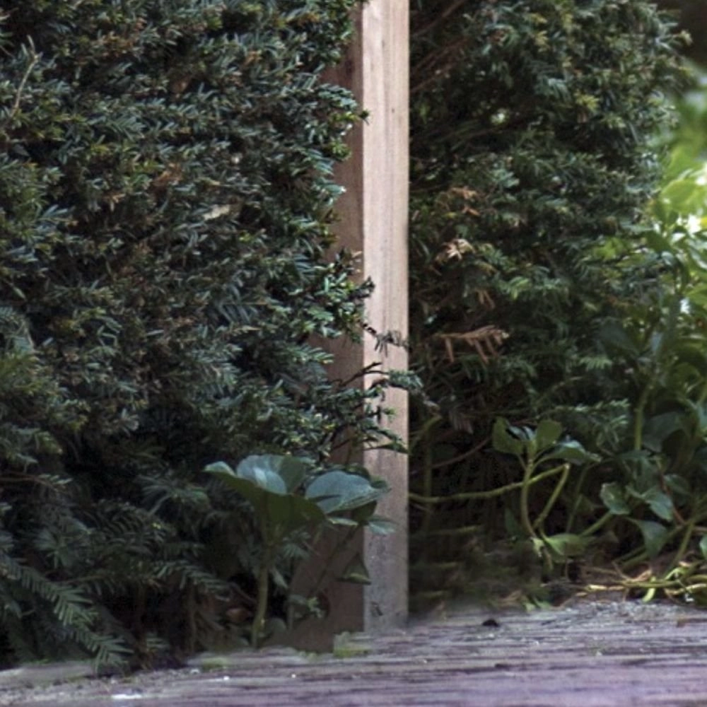 Tuinlamp Balume Pole op houten mast Authentage 8716803505070