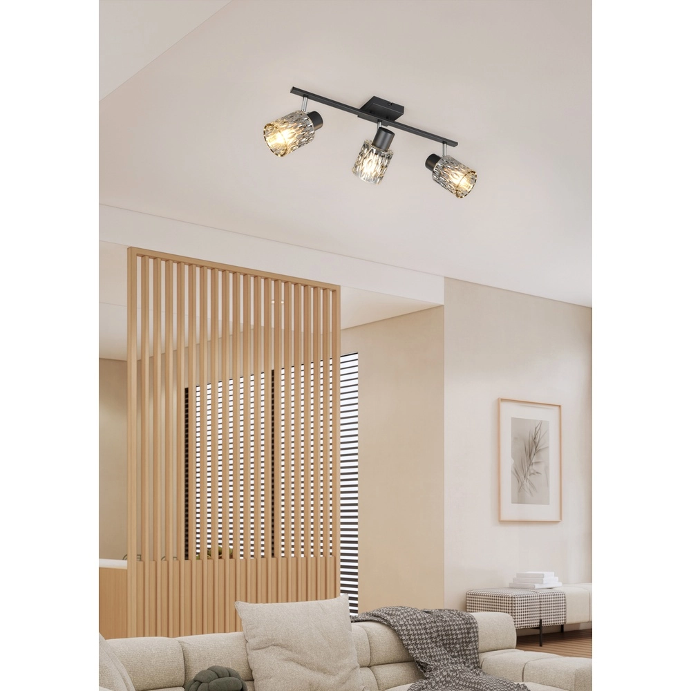 Plafondlamp Jack zwart 3-lichts Trio 4017807643879