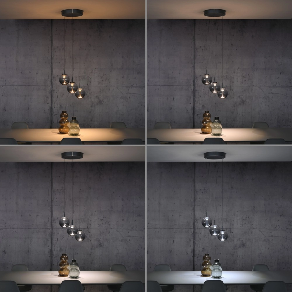 Vide hanglamp Pure E-Infinty mystic grey met smoke glas Paul Neuhaus 4012248398173