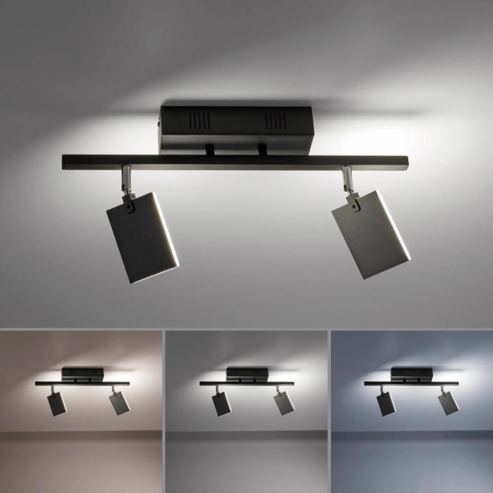 Plafondlamp Pure Mira 2-lichts zwart Paul Neuhaus 4012248359433