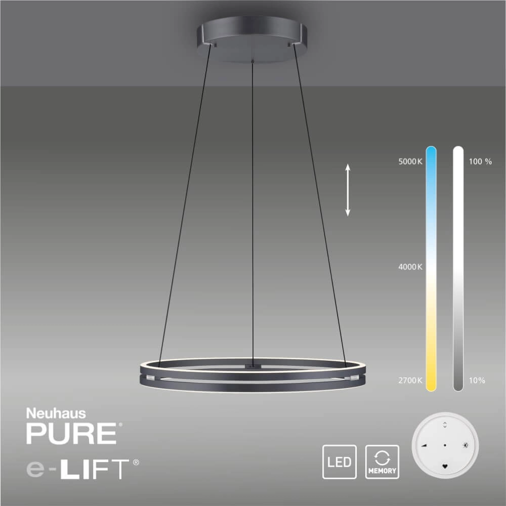 Strakke hanglamp Pure E-Loop grijs Ø 70cm Paul Neuhaus 4012248372289