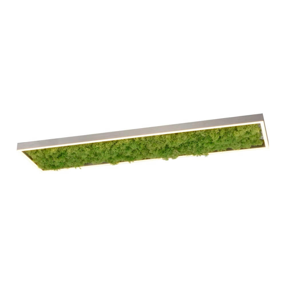 Rechthoekige plafondlamp Green Knut met mos