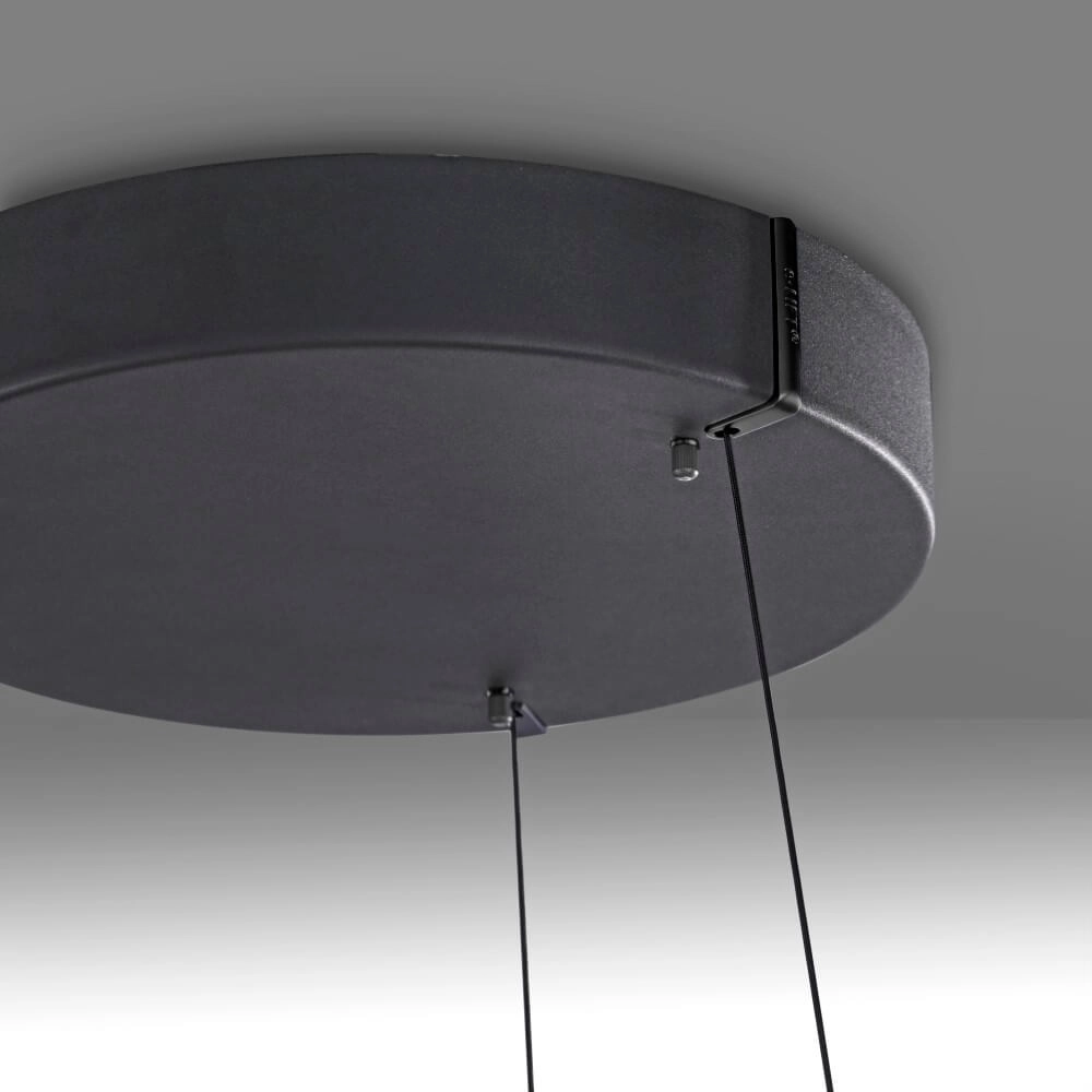 Strakke hanglamp Pure E-Loop zwart Ø 70cm Paul Neuhaus 4012248384336