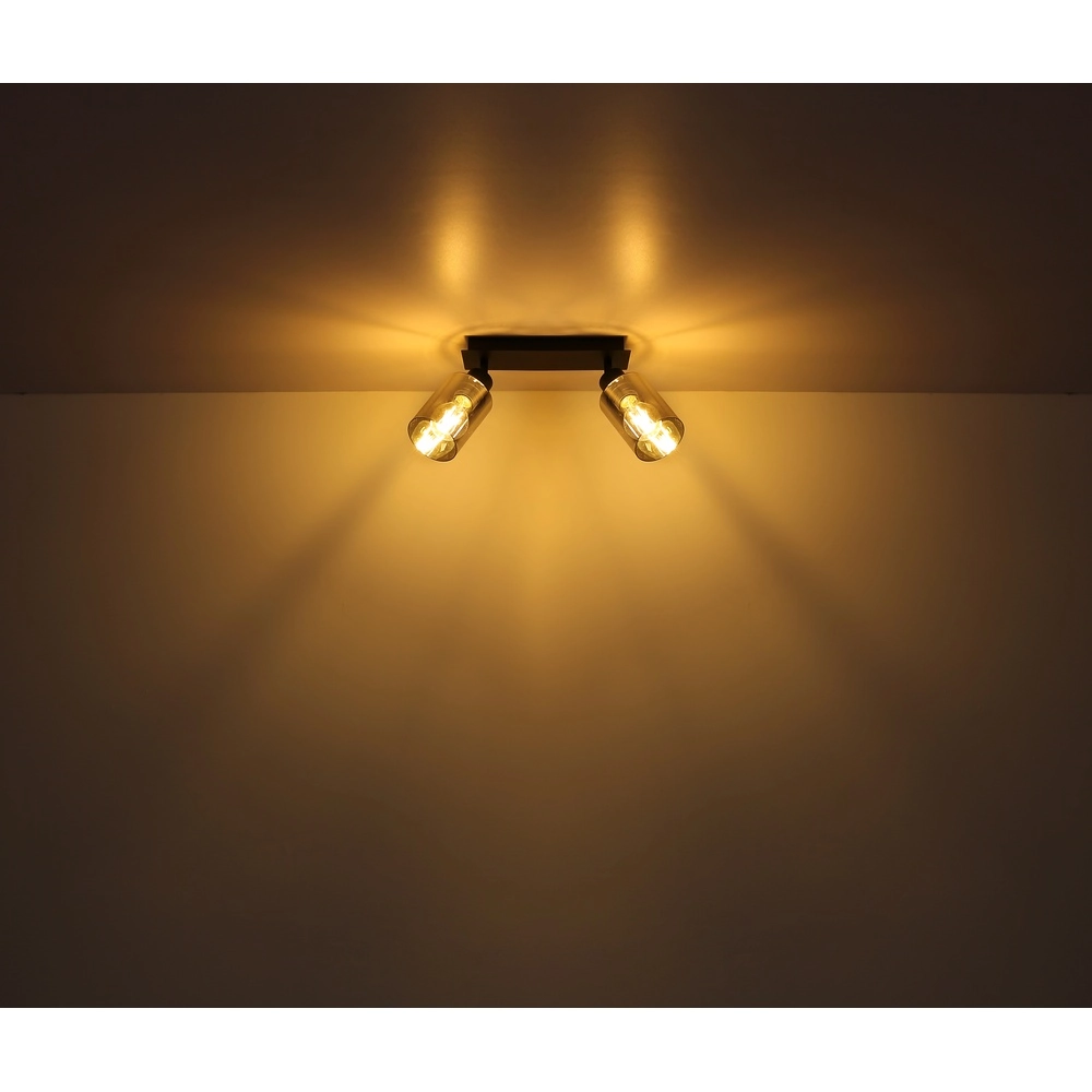 Plafondlamp Hadera 2-lichts zwart met smoke glas Globo 9007371440214