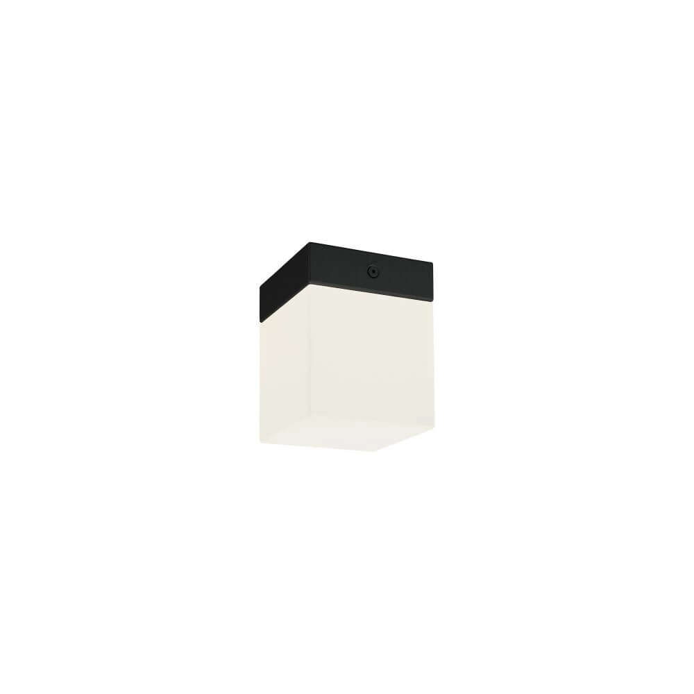 Kleine badkamer plafondlamp Sis