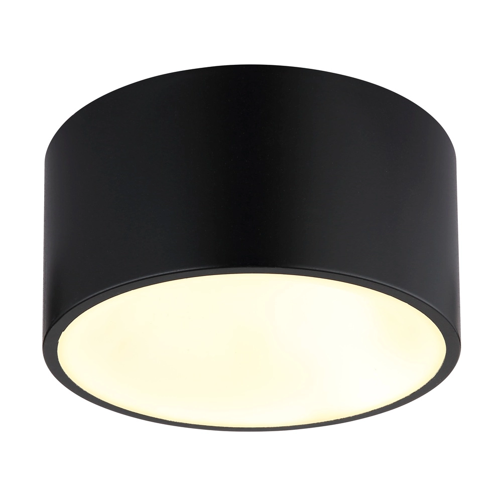Plafondlamp Raymond zwart