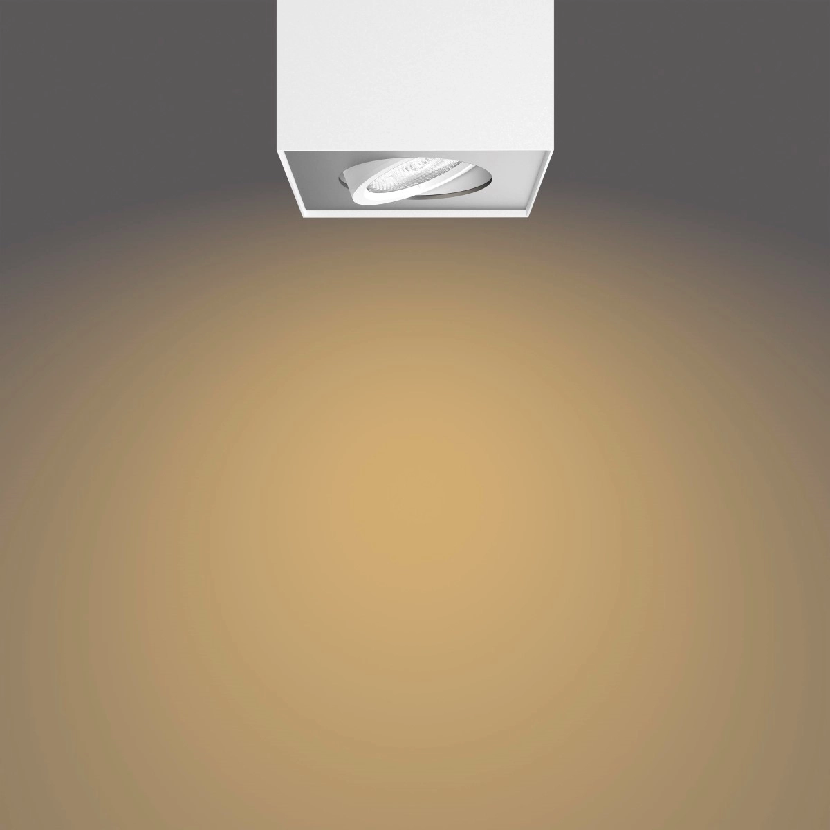 spot Box 4-lichts wit Philips 8718696164549