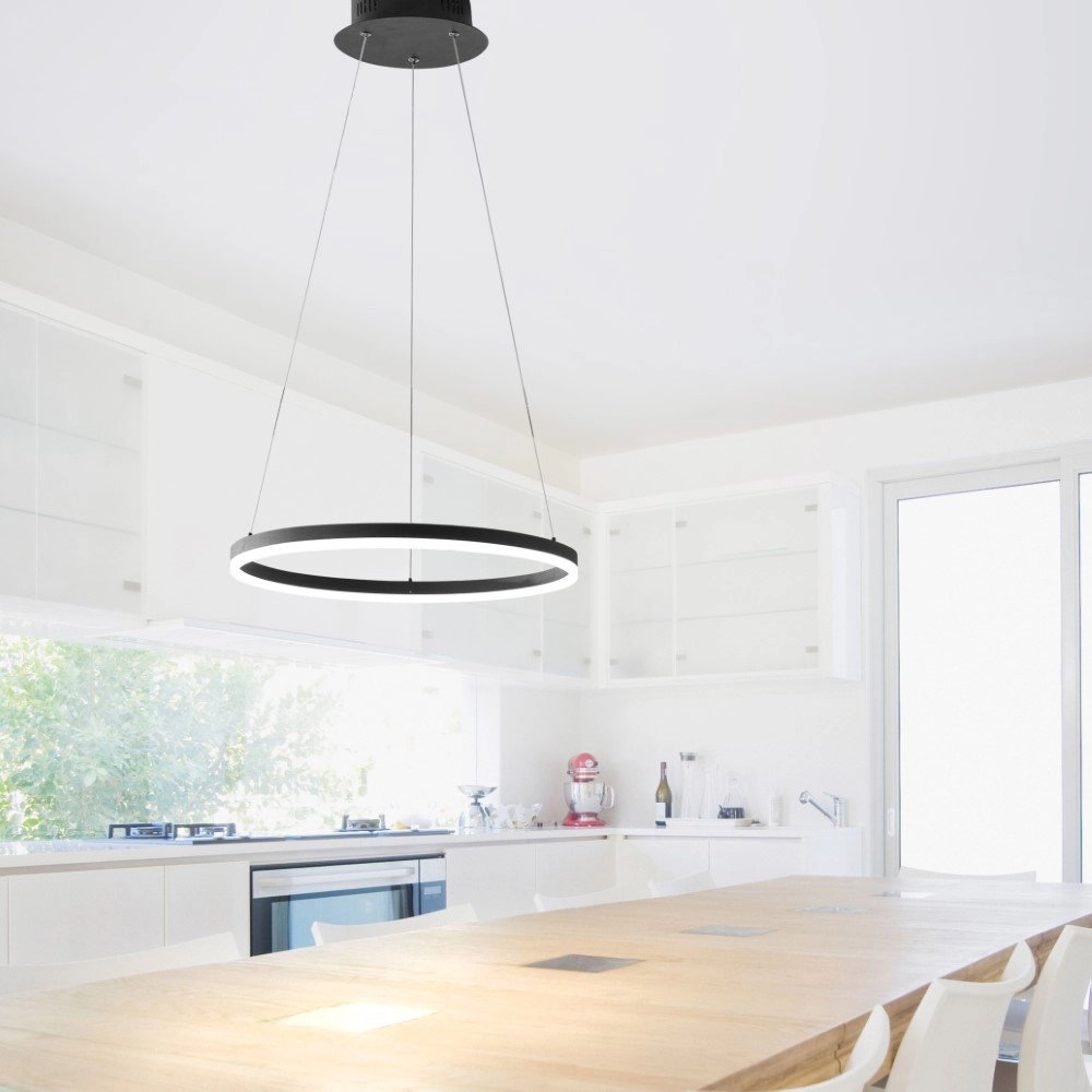 Zwarte hanglamp Titus Ø 40cm Paul Neuhaus 4012248305140