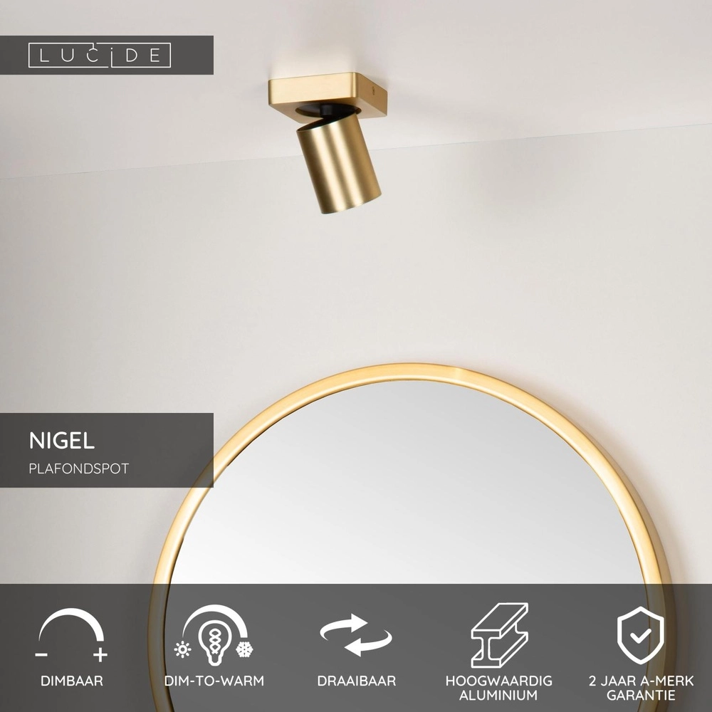 Plafondspot Nigel goud Lucide 5411212092939