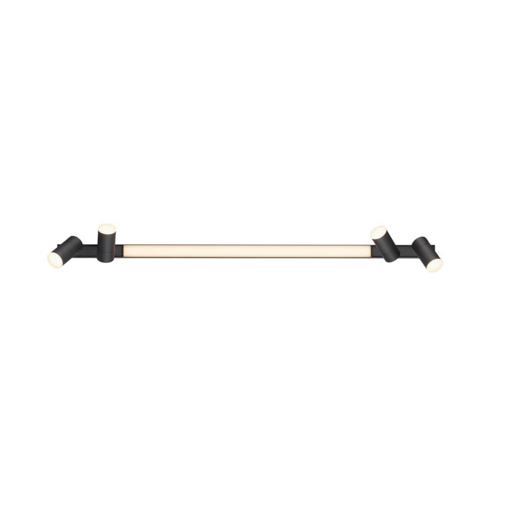 Strakke plafondlamp Pure Lines Spot antraciet Paul Neuhaus 4012248366349