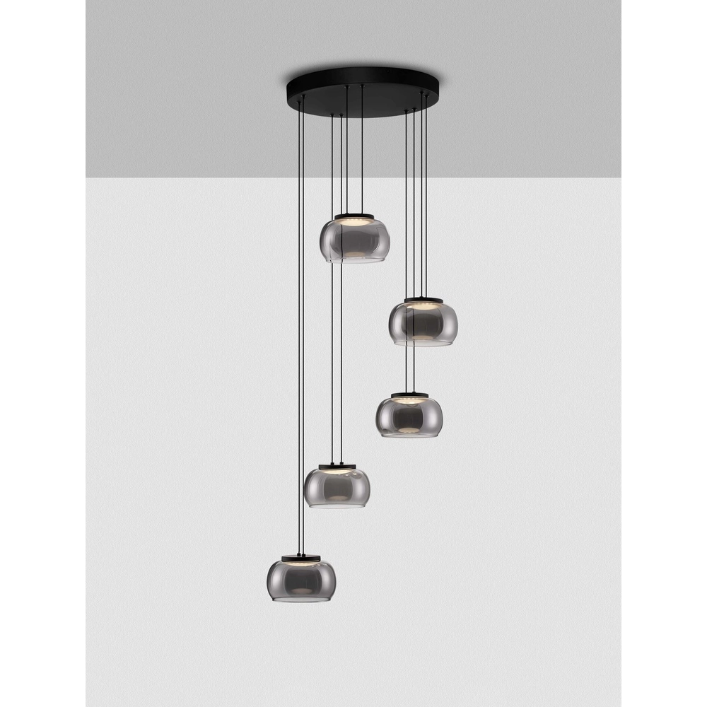 Moderne hanglamp Bios 5-lichts zwart Lyora 5212017458537