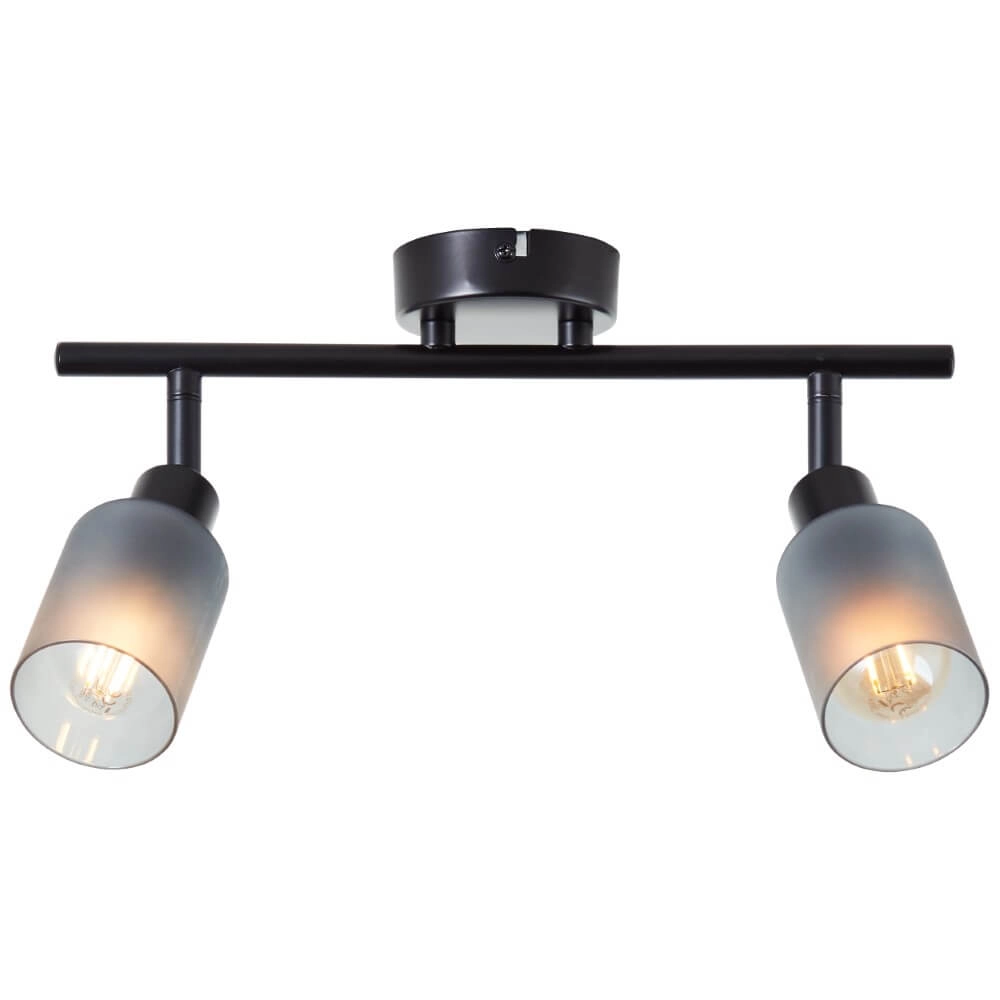 Zwarte plafondlamp Loralie 2-lichts