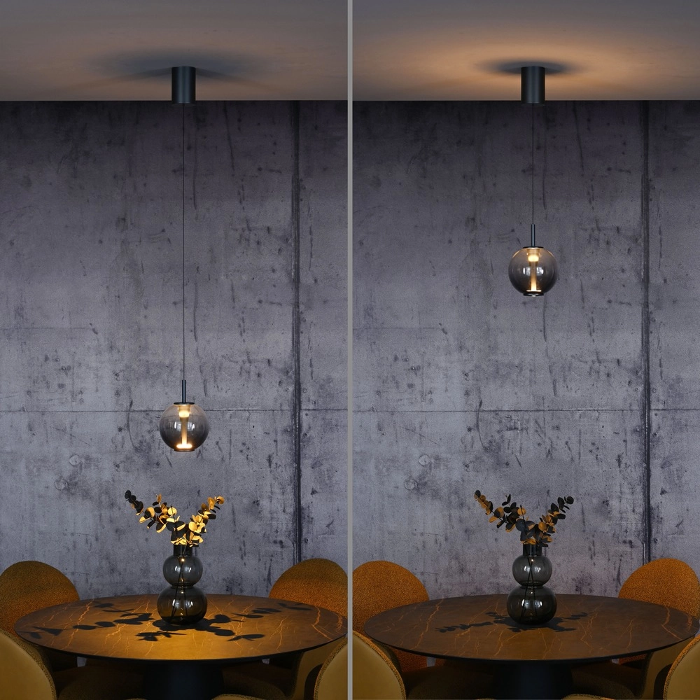 Led hanglamp Pure Infinity met smoke glas - Ø 18cm Paul Neuhaus 4012248399033