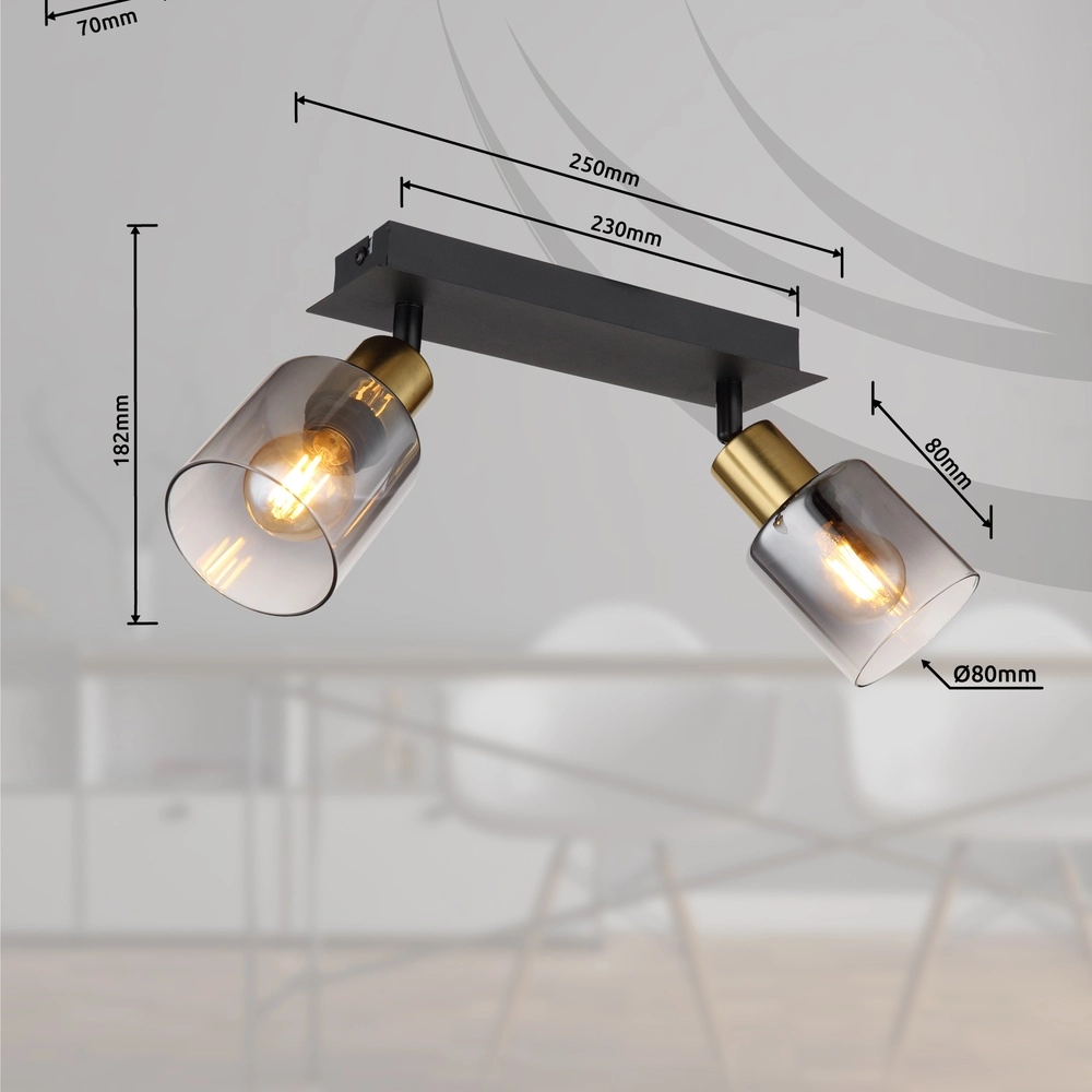 2-lichts plafondlamp Hollsy zwart met smoke glas Globo 9007371445851