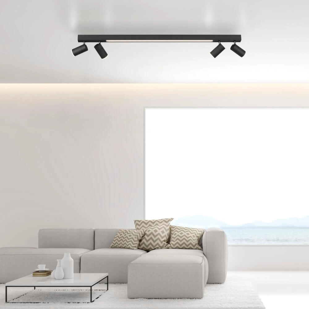 Strakke plafondlamp Pure Lines Spot antraciet Paul Neuhaus 4012248366349