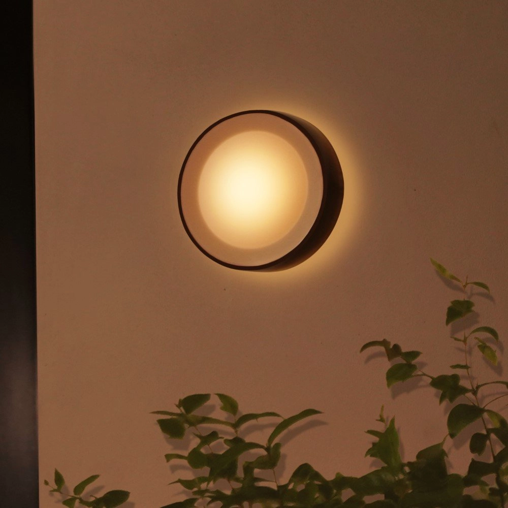 Ronde buitenlamp Hue Daylo zwart Philips 8718696174401