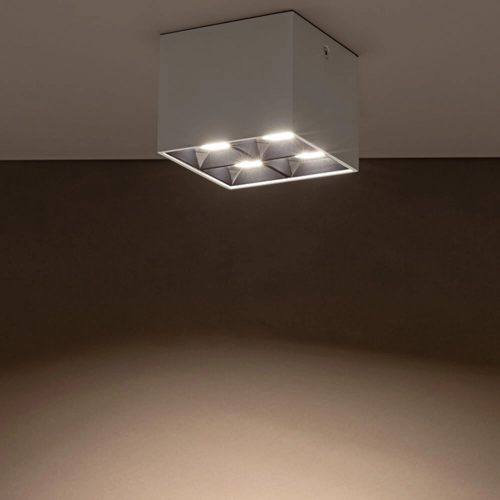 Witte opbouwspot Midi Led 2x2 leds - 3000K Lyora 5903139100472