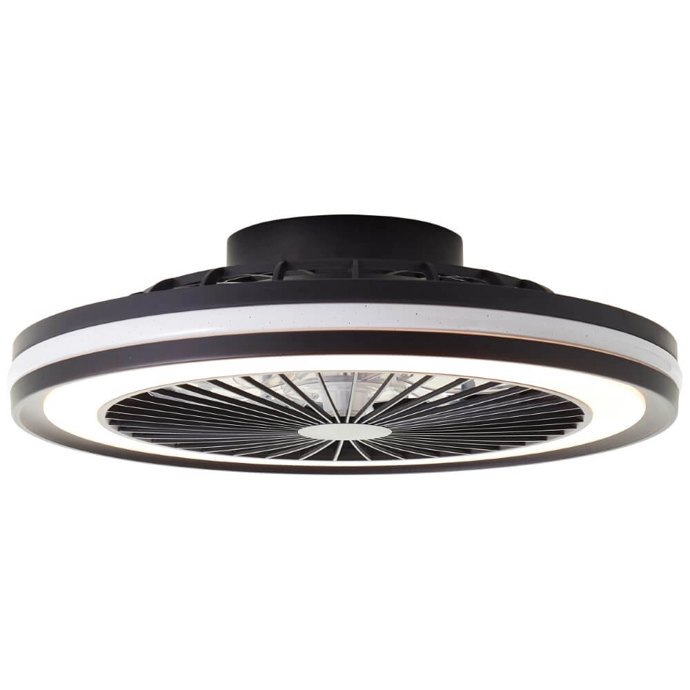 Plafondventilator Palmero met RGB functie